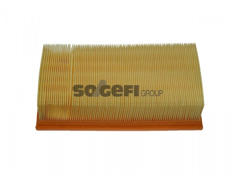 Фильтр воздушный FRAM CA5860 купить недорого по цене 572 руб в интернет ...